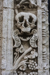 Skull