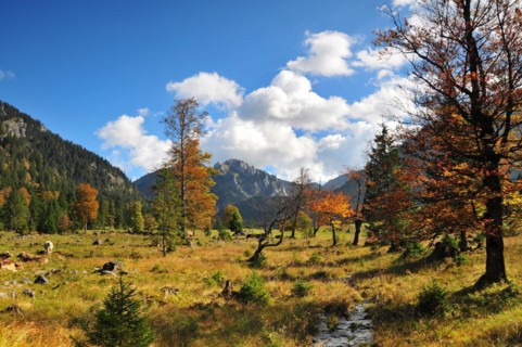 Landscape below the Kenzenhuette in the Allgaeu