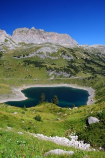 Formarinsee