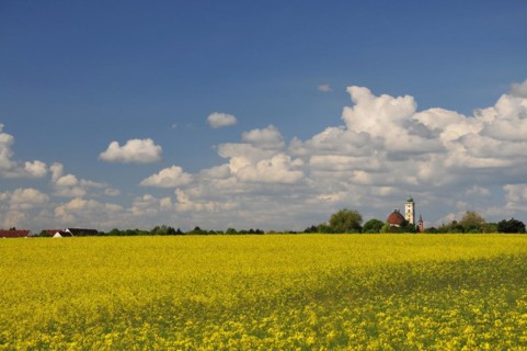 Pilgrimage church Herrgottsruh in Friedberg