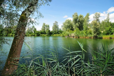 Bathing pond