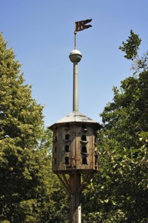 Old dovecote from 1894