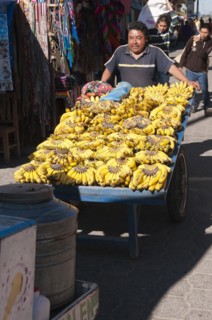 Bananas for sale