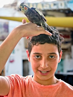 Young man looking directly into the camera with parakeet on his head Aqaba