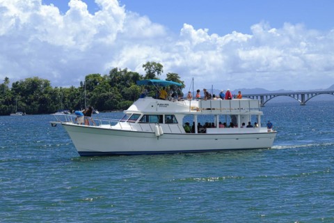 Whale watching boat