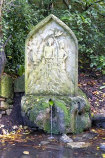 Spring water from sacred well Charlcombe