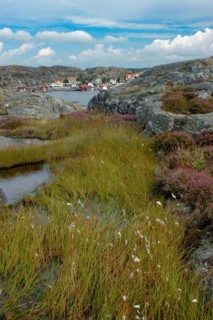 Holiday homes on the western Swedish island of Tjoern