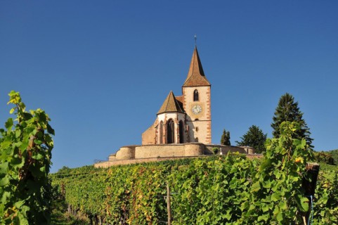 Saint-Jacques-le-Majeur Church in the vineyards of Hunawihr in Alsace