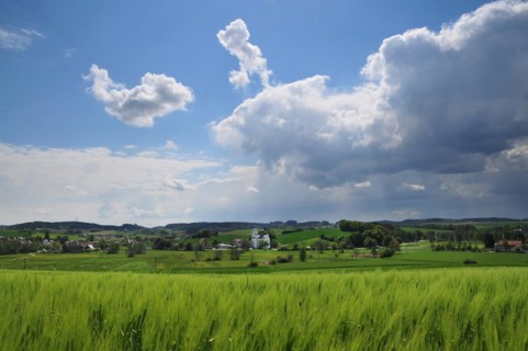 Maria pear tree Pilgrimage Church in Wittelsbach Land