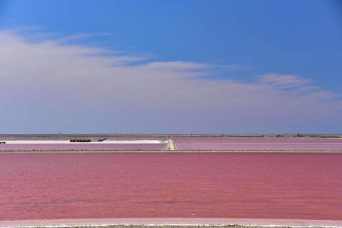 Salt extraction at the Giraud seawater saltworks in the Camargue