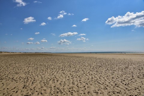 Beach at low tide in the department of Manche