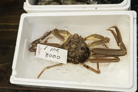 Large snow crab for sale
