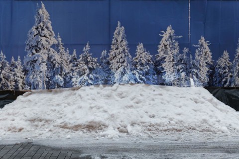 Privacy fence with photo of snow-covered fir trees