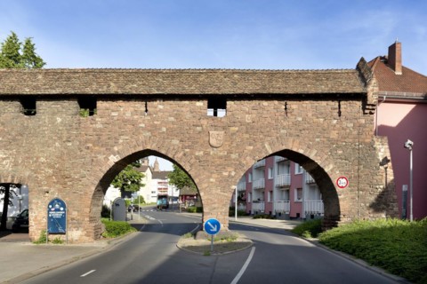 Nibelungen Museum