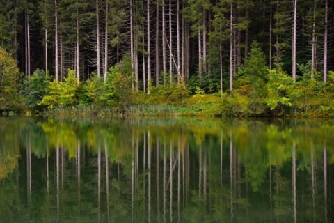 Hochwald reflected in a lake
