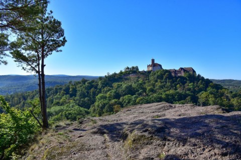 View from the Metilstein to the Wartburg near Eisenach in Thuringia