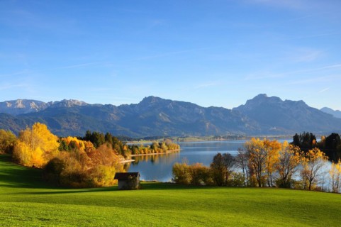 Forggensee