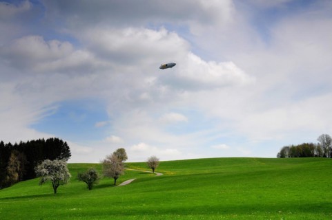 Meadow