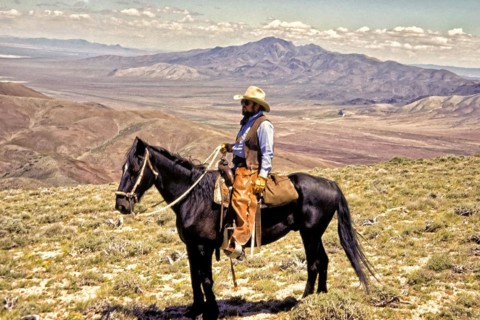 Cowboy with chaps