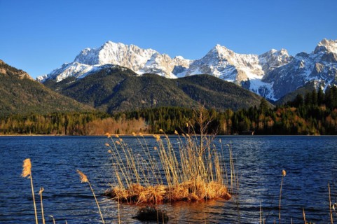 Reed island in the Barmsee lake in Upper Bavaria