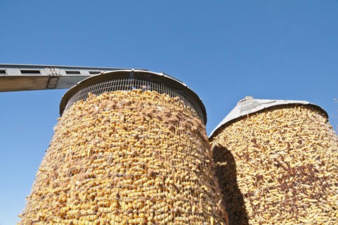 Corn storage bin