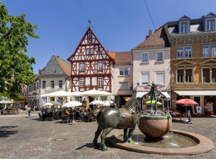Rossmarkt with fountain and historic buildings