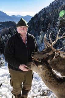 Deer on the Reiseralm near Lenggries with host Alois Oswald
