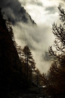 Autumn trees in gorge backlit with threatening cloudy sky