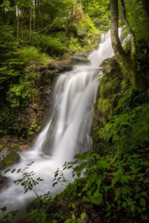 The Stuebenbach stream and part of the Todtnau waterfall in the forest