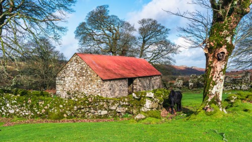 Panorama of Emsworthy Mire