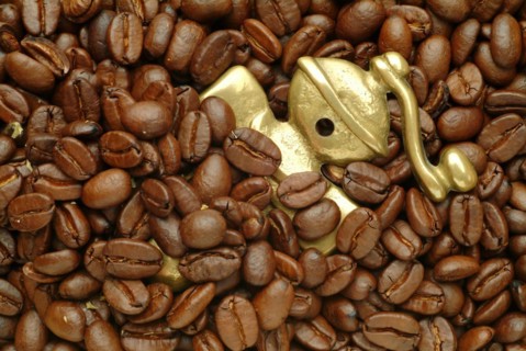 Roasted coffee beans