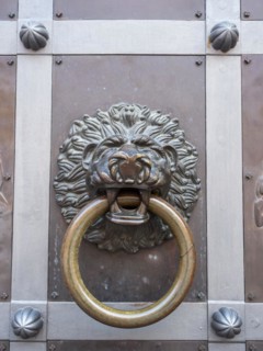 Lions head