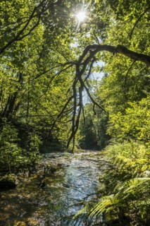 Schwarzaschlucht