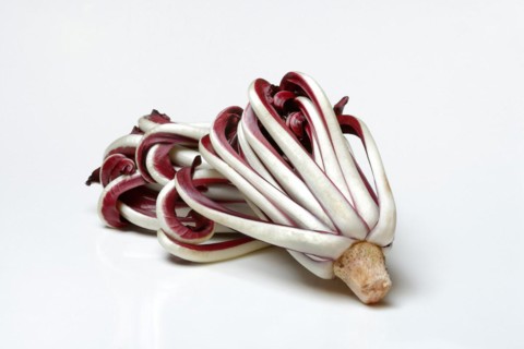 Radicchio