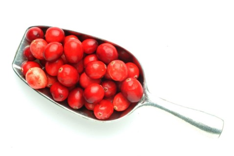 Ripe fruits of the cranberry