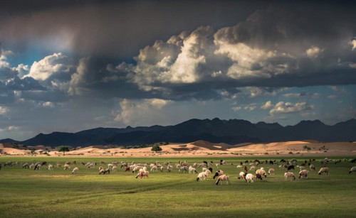 Steppe landscape