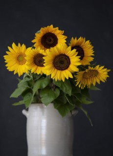 Bouquet of Sunflowers in Ceramic Vase