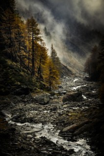 Autumn trees in gorge backlit with threatening cloudy sky