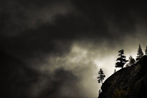 Single trees on rocky ridge in backlight with threatening cloudy sky