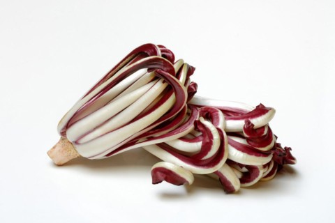 Radicchio