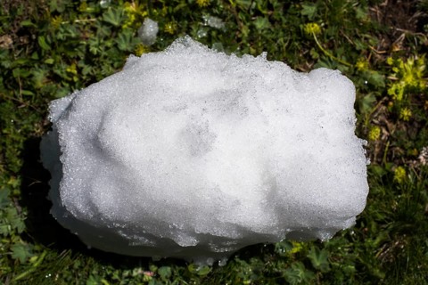 Little amount of snow put in the green grass background