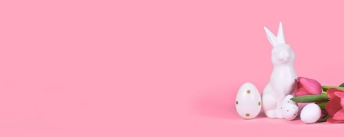 Banner with easter bunny