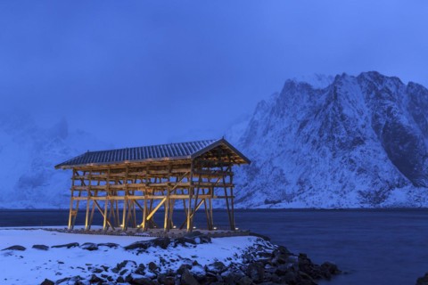 Fish rack for drying cod