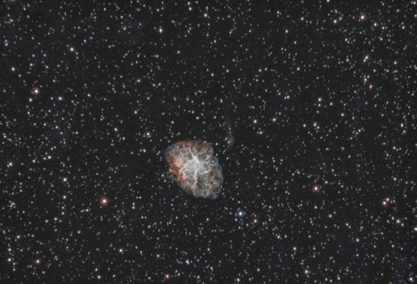 M1