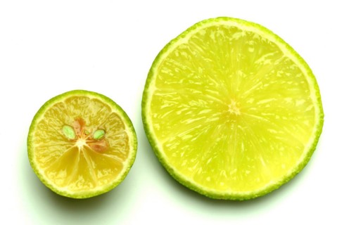 Persian lime