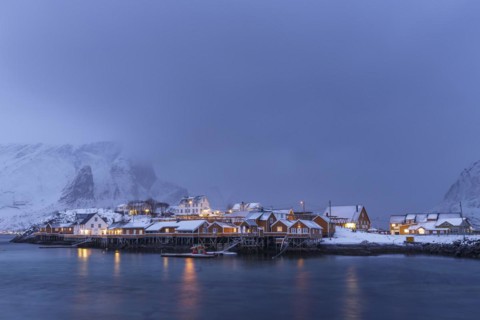 Yellow rorbuer in winter