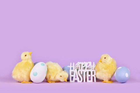 Pastel colored easter eggs
