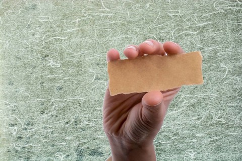 Hand holding a piece of blank torn notepaper