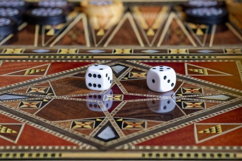 Wooden Chess Backgammon Game