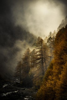 Autumn trees in gorge backlit with threatening cloudy sky
